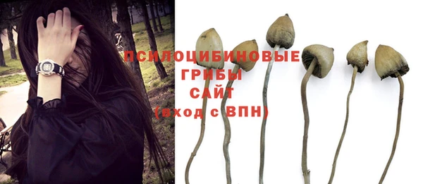 прущий лед Балабаново